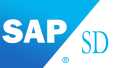 >SAP Satış Dağıtım Modül Danışmanı Yetiştirme Eğitimi